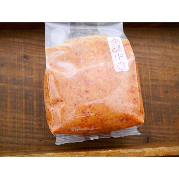 紅麹味噌（900g発酵袋）｜otamaya2002｜03
