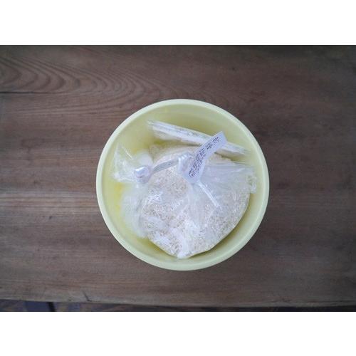 塩麹 手作りキット 米麹 1lポリ容器 Ok Shiokoji 01 おたまやヤフーショップ 通販 Yahoo ショッピング