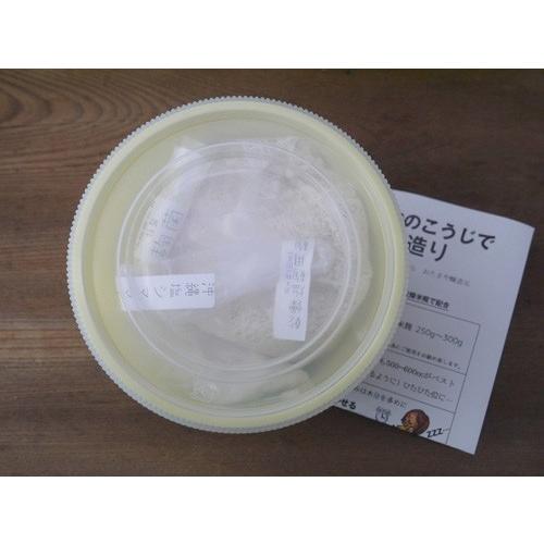 塩麹 手作りキット 米麹 1lポリ容器 Ok Shiokoji 01 おたまやヤフーショップ 通販 Yahoo ショッピング