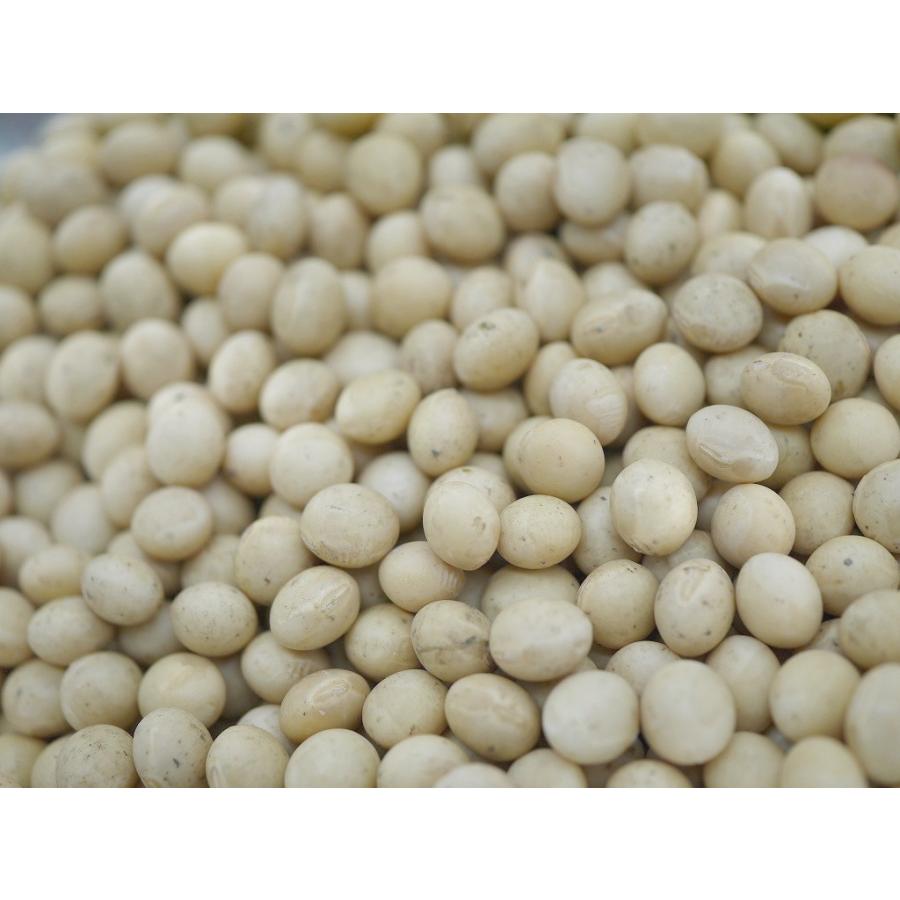 訳あり】令和6年産 新物 国産大豆(30kg×5本)150kg 2等 検査 訳あり】令和6年産 新物 国産大豆(30kg×5本)150kg 2等 検査