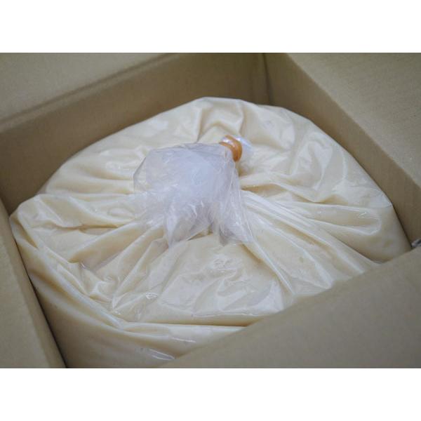 格安通販サイト 塩麹 10kg 大幅値引き中 Shirleyryan Ca