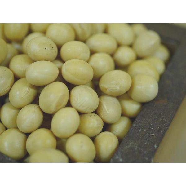 手作り味噌セット 樽なし(出来上がり量 約8kg) : おたまや 手作り味噌セット 樽なし(出来上がり量 約8kg) : おたまや