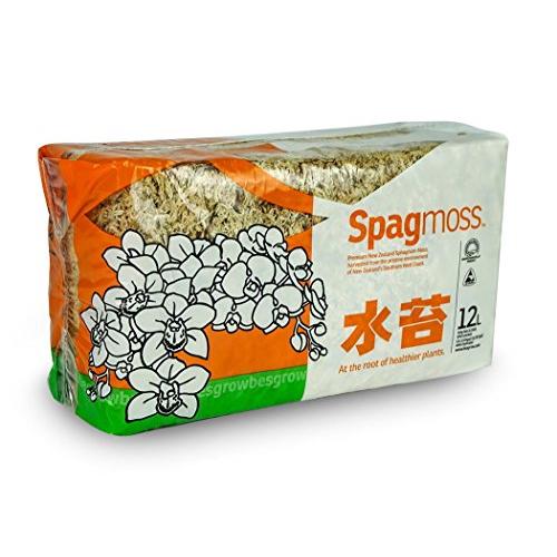 ニチリウ永瀬 ニュージーランド産 水苔 AAグレード 12L 約150g
