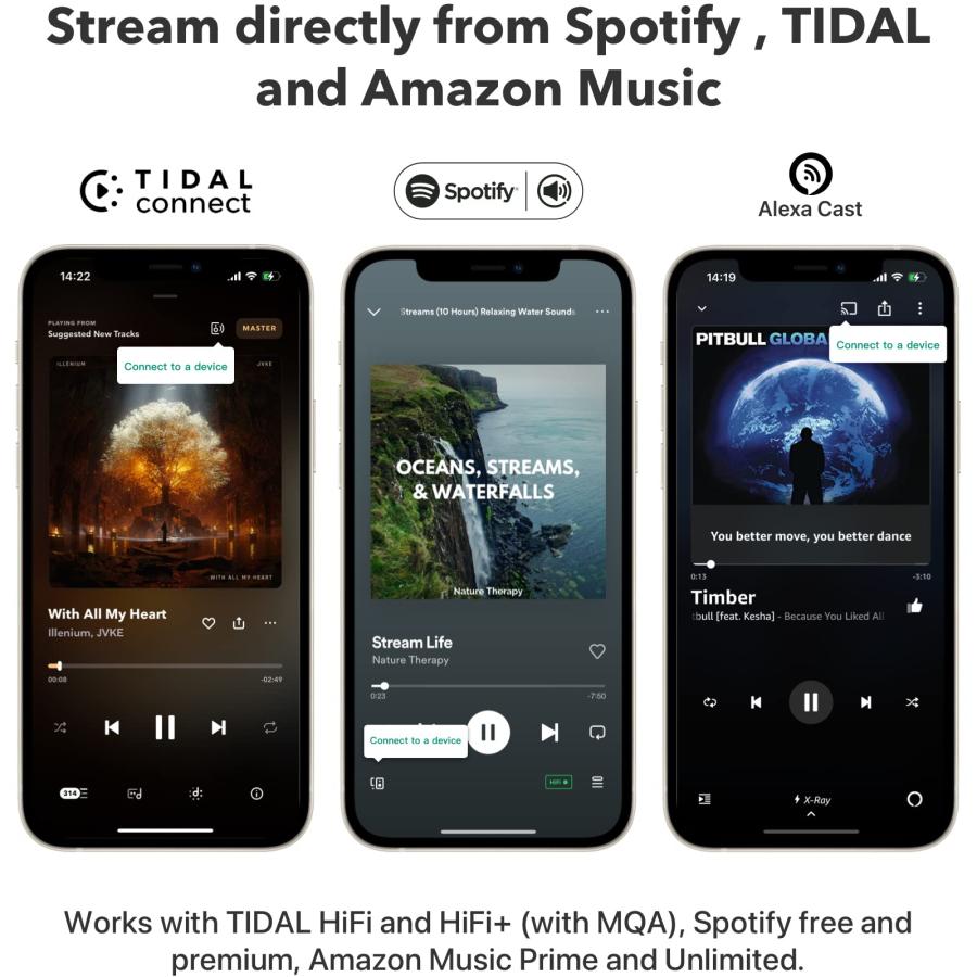 WiiM Pro AirPlay 2 レシーバー クロームキャスト対応 WiFi WiiM Pro AirPlay 2 レシーバー、クロームキャスト対応、WiFi