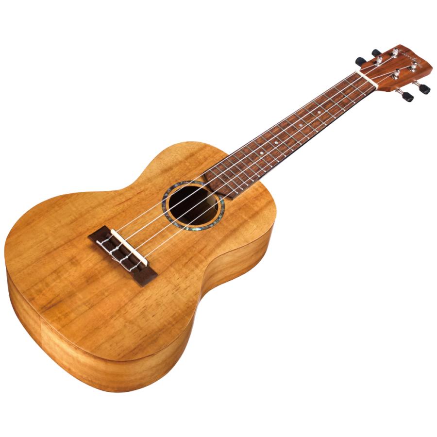 Cordoba 28C コンサートウクレレ Cordoba 28C コルドバ コンサート ウクレレ : 大谷楽器 - 通販