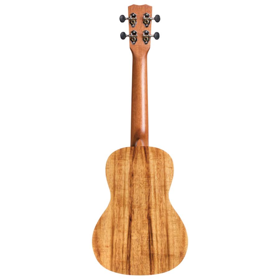 Cordoba 28C コンサートウクレレ Cordoba 28C コルドバ コンサート ウクレレ : 大谷楽器 - 通販