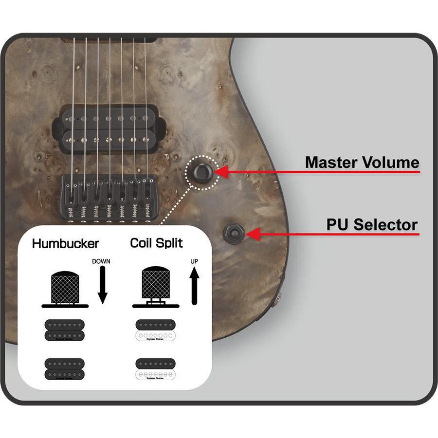ESP EDWARDS エドワーズ エレキギター E-HR6-FIXED Burl Top STR ESP EDWARDS エドワーズ エレキギター E-HR6-FIXED Burl Top STR