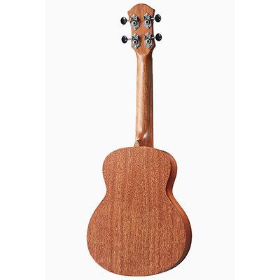 aNueNue aNN-U2 アヌエヌエ コンサート ウクレレ Hawaiian Dream