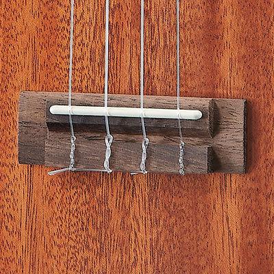 aNueNue aNN-U2 アヌエヌエ コンサート ウクレレ Hawaiian Dream