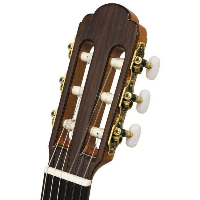 ARIA クラシックギター A-140S スプルス単板トップ : 大谷楽器 - 通販 