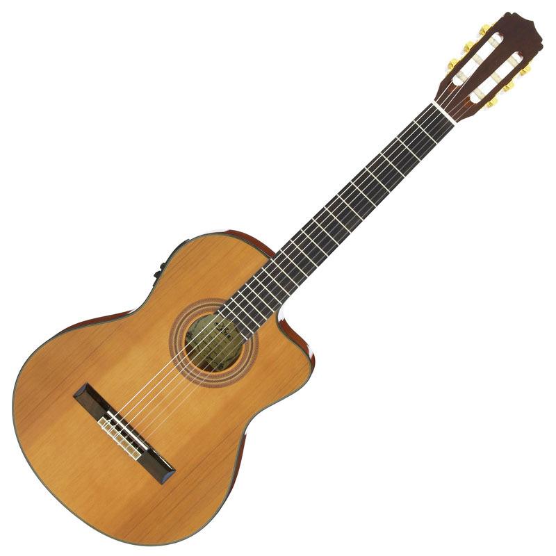 エレガット　ARIA　A-35CE　エレクトリック　ガットギター　ソフトケース付　クラシックギター