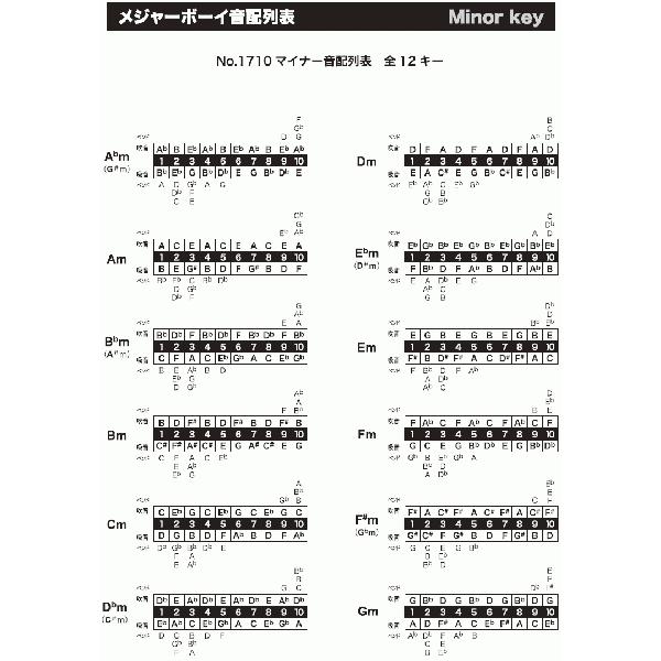 ブルースハープ トンボ テンホール ハーモニカ Majorboy 1710 No1710majorboy 大谷楽器 通販 Yahoo ショッピング