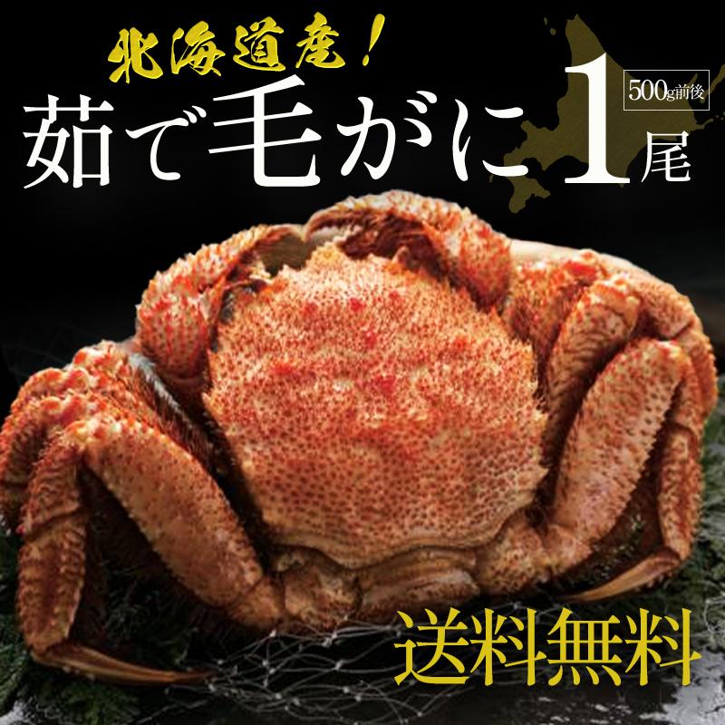 毛ガニ 【北海道産】茹で毛がに1尾(500g前後) 海鮮 かに鍋 ボイル