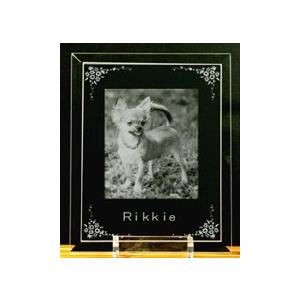 アートプレート |  | 01