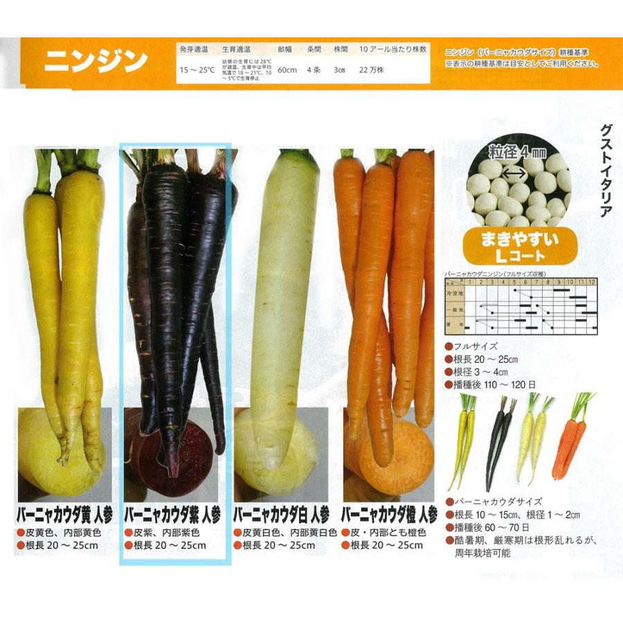 イタリアの野菜 Gustoitalia バーニャカウダ紫 人参 1千粒 Lコート Ita Bagnacaudap 18ss 家庭菜園 太田シード ヤフー店 通販 Yahoo ショッピング