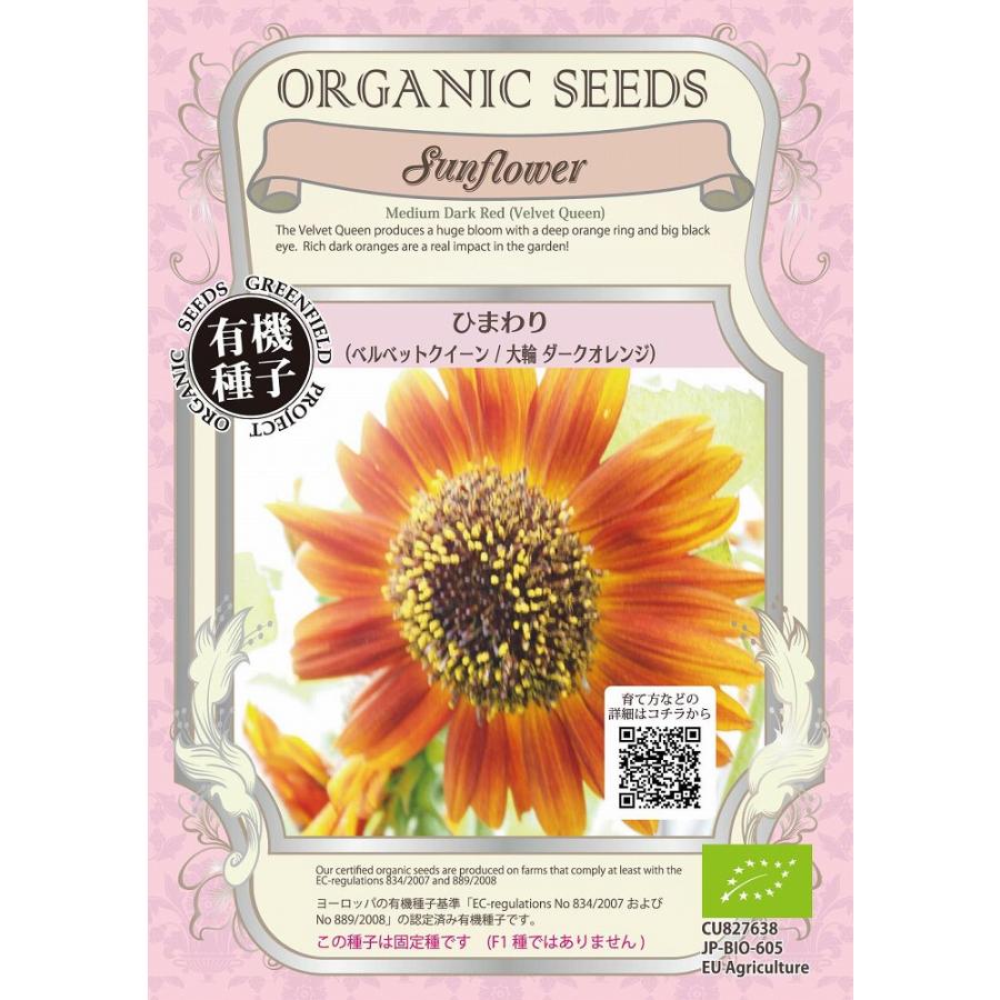 オーガニックの花と緑肥】ひまわり（ベルベットクイーン 大輪ダーク