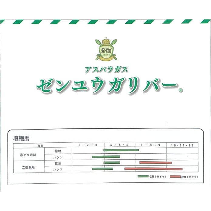 アスパラガス】ゼンユウガリバー〔サナテックシード 0572〕 : 家庭菜園