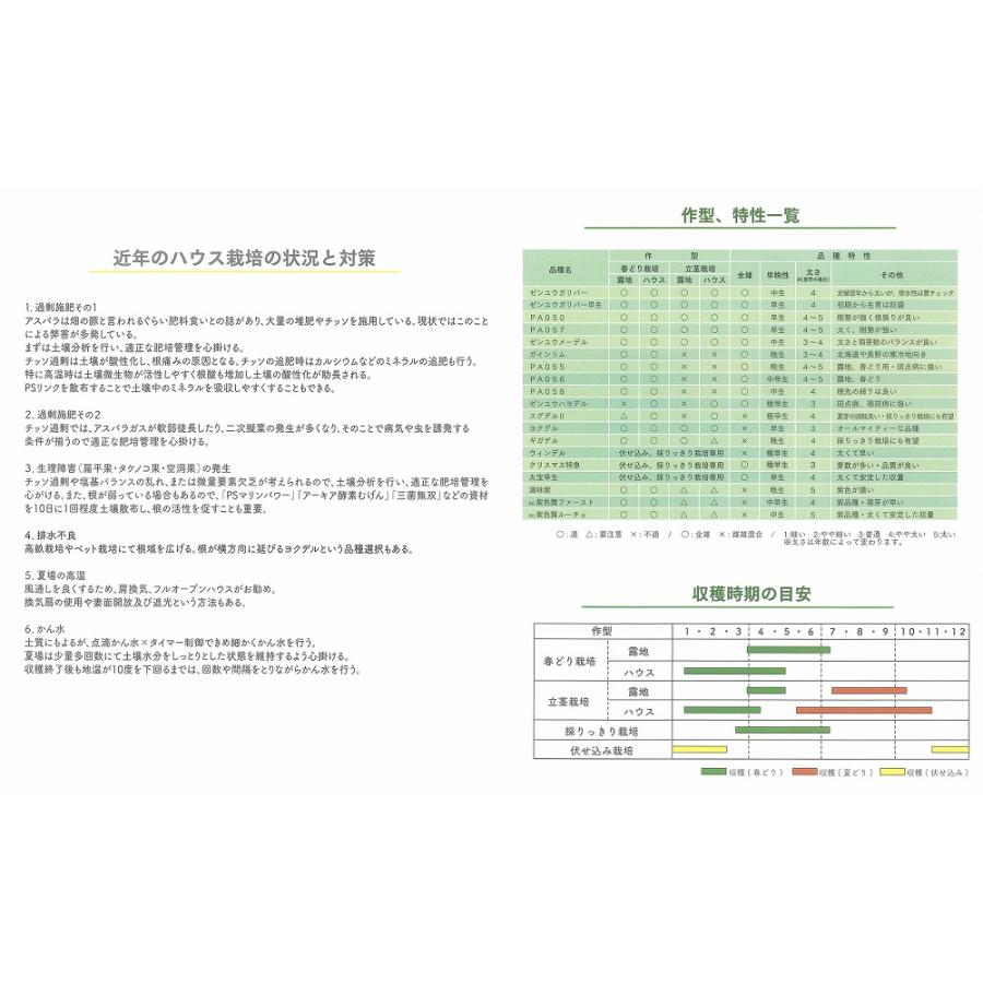 アスパラガス】ゼンユウガリバー〔サナテックシード 0572〕 : 家庭菜園