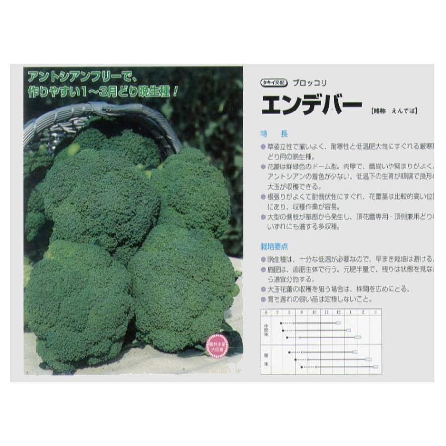 タキイ交配 ブロッコリー エンデバーSP ペレットL5000粒 ブロッコリー