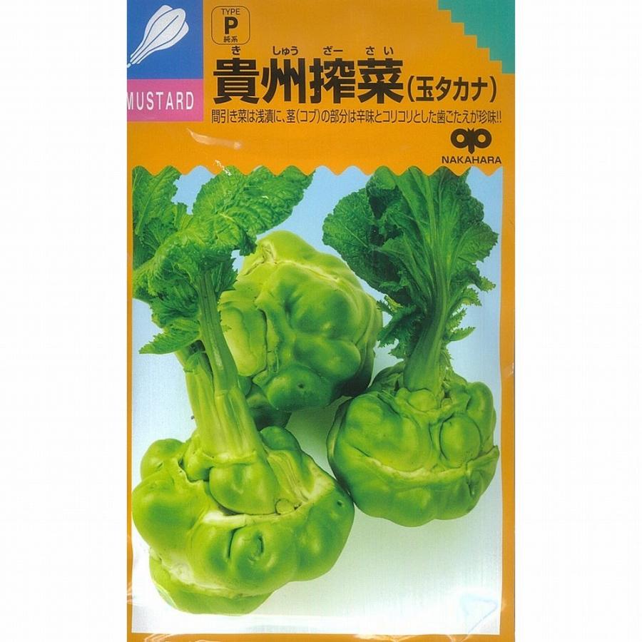 89円 40％OFFの激安セール 四川搾菜 筍タカナ ペレット種子 200粒 野菜種 秋まき