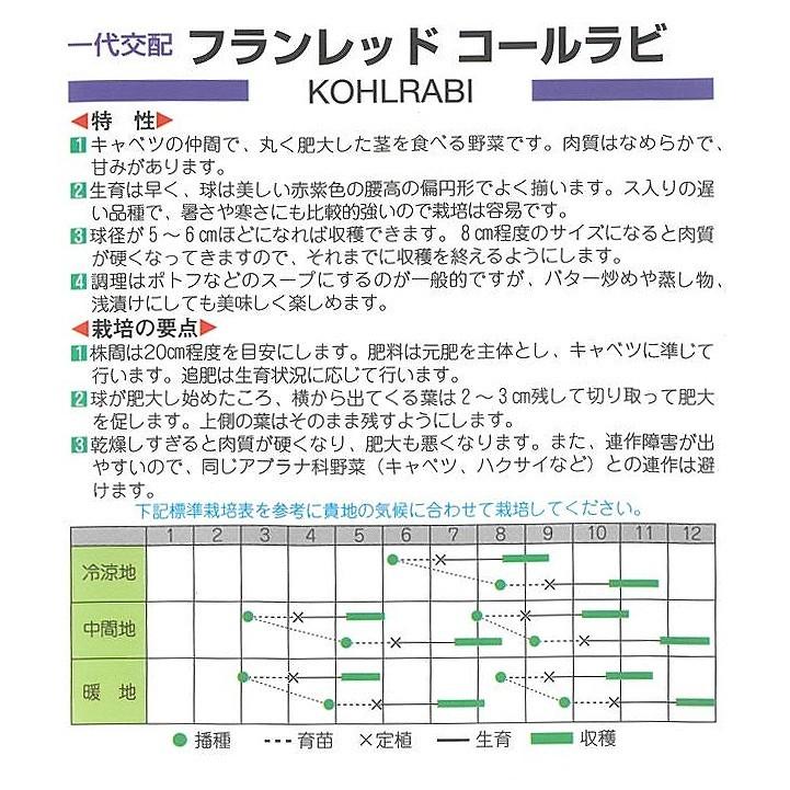 【芽キャベツ・コールラビ・ケール】コールラビ　フランレッド〔一代交配0050〕/小袋（70粒）｜otaseed｜02