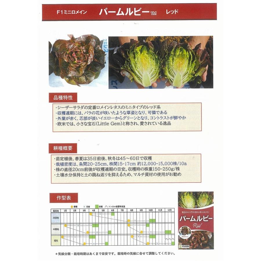 レタス パームルビーレッド ミニロメインレタス レッド ぐんたね ペレット小袋 T Lts Pmrbrtr 22s 家庭菜園 太田シード ヤフー店 通販 Yahoo ショッピング