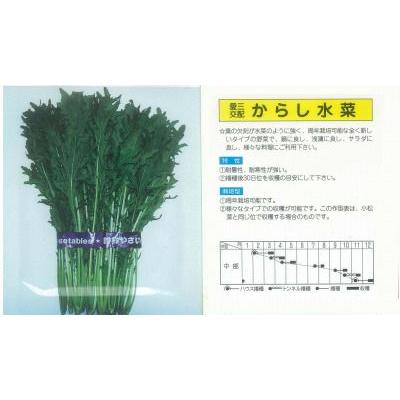 ミズナ からし水菜 愛三交配 小袋 T Mzn Karashimizuna 家庭菜園 太田シード ヤフー店 通販 Yahoo ショッピング