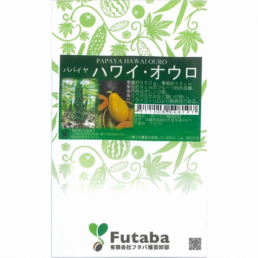 パパイヤ】フルーツ用 ハワイオウロ〔一代交配0336（フタバ）〕 : 家庭