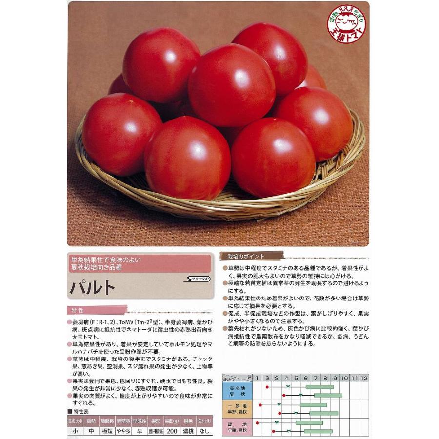トマト】パルト〔サカタ交配〕《登録品種》品種名SAKTOM011海外持出