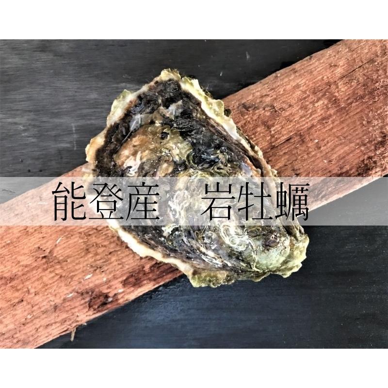 岩牡蠣 能登産 2 5kg 7 9個 牡蠣ナイフ 片手用軍手付 送料無料 25 おうた水産 通販 Yahoo ショッピング