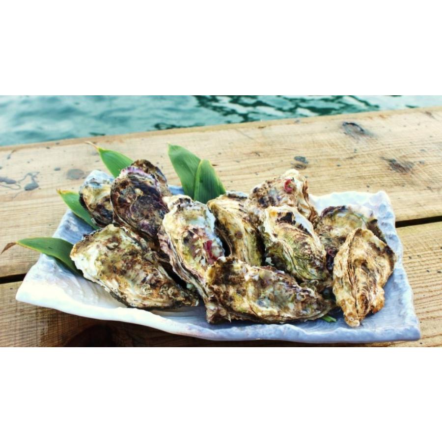 能登牡蠣　　殻付き　（ 20個　約2kg）（牡蠣ナイフ、片手用軍手付） |  | 13