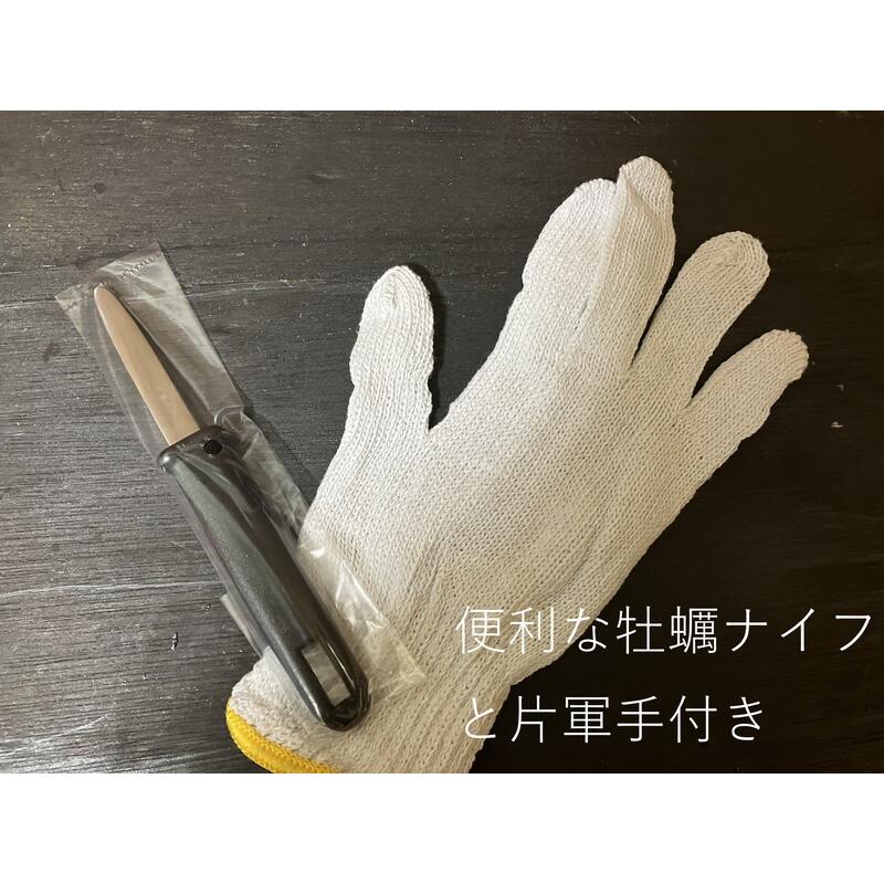 能登牡蠣　　殻付き　（ 20個　約2kg）（牡蠣ナイフ、片手用軍手付） |  | 02