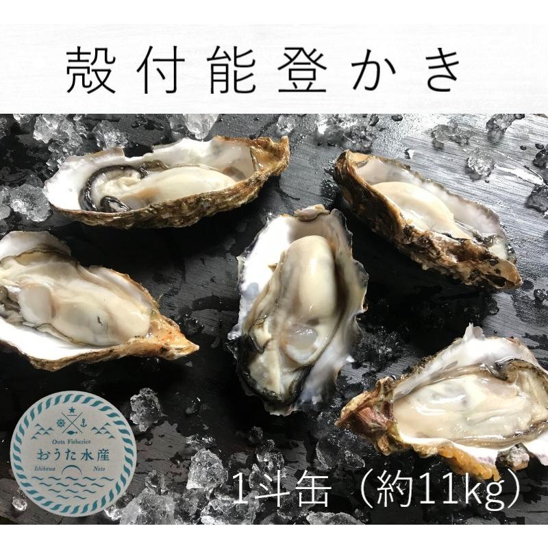 能登かき　殻付（1斗缶　約11kg）(約85個）（牡蠣ナイフ、片手用軍手付）