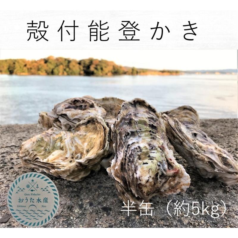 能登かき 殻付 半缶 約45個 牡蠣ナイフ 片手用軍手付 8 おうた水産 通販 Yahoo ショッピング