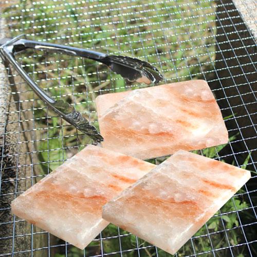 ヒマラヤ産岩塩プレート 2枚組 ソルトロースタープレート 食用岩塩板 七輪 焼肉 天然塩 ヒマラヤ岩塩 | 