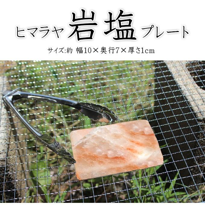 ヒマラヤ産岩塩プレート 2枚組 ソルトロースタープレート 食用岩塩板 七輪 焼肉 天然塩 ヒマラヤ岩塩 |  | 01