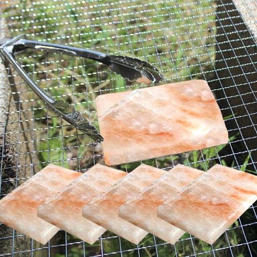 ヒマラヤ産岩塩プレート 5枚組 ソルトロースタープレート 食用岩塩板 七輪 焼肉 天然塩 ヒマラヤ岩塩 | 