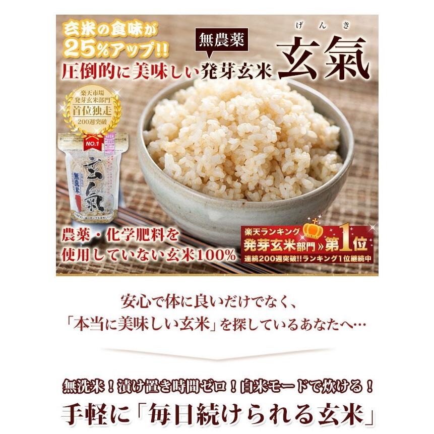 無洗米 玄米 玄氣1.5kg×2個 計3kg 無農薬 川島米穀店 無洗玄米 玄気