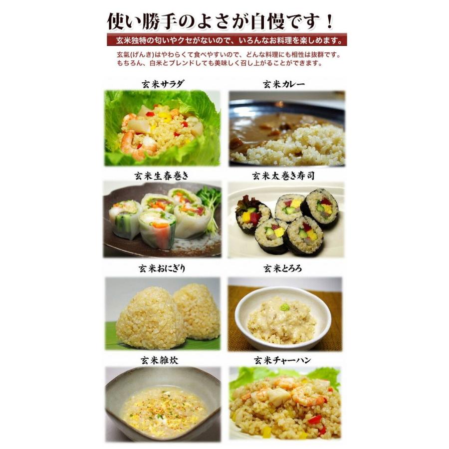 無洗米 玄米 玄氣1.5kg×2個 計3kg 無農薬 川島米穀店 無洗玄米 玄気