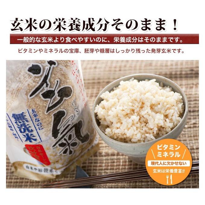 いーちゃん　玄米 無洗米 玄米 玄氣1.5kg×3個 計4.5kg 無農薬 川島米穀店 無洗玄米 玄気