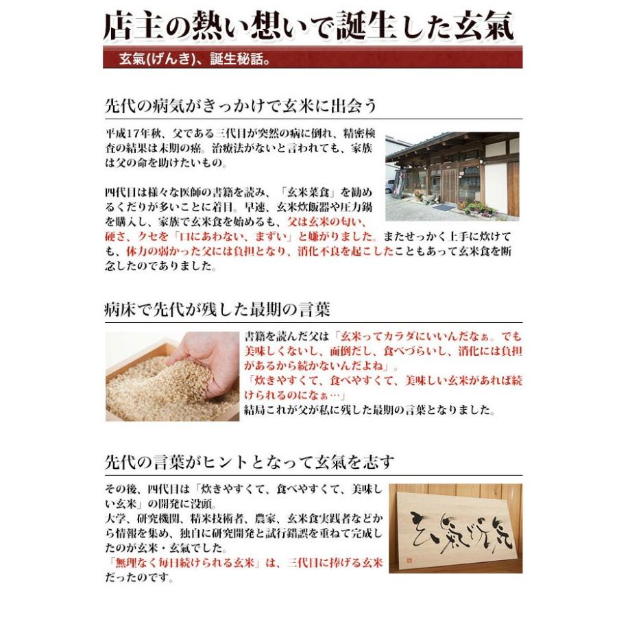 無洗米 玄米 玄氣1.5kg×3個 計4.5kg 無農薬 川島米穀店 無洗玄米