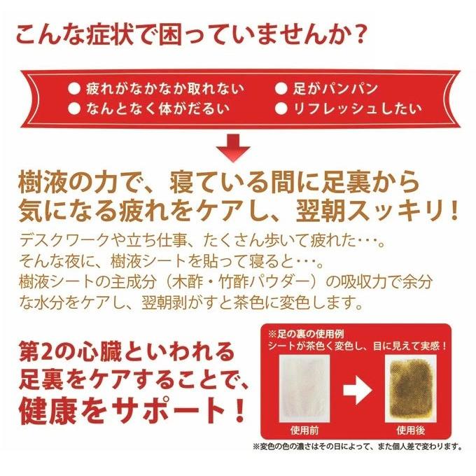 樹液居敷き 足裏居敷き 足裏樹液居敷き 19類概念 36枚×6個 足すっきり むくみ 貼って寝るだけ 日本製