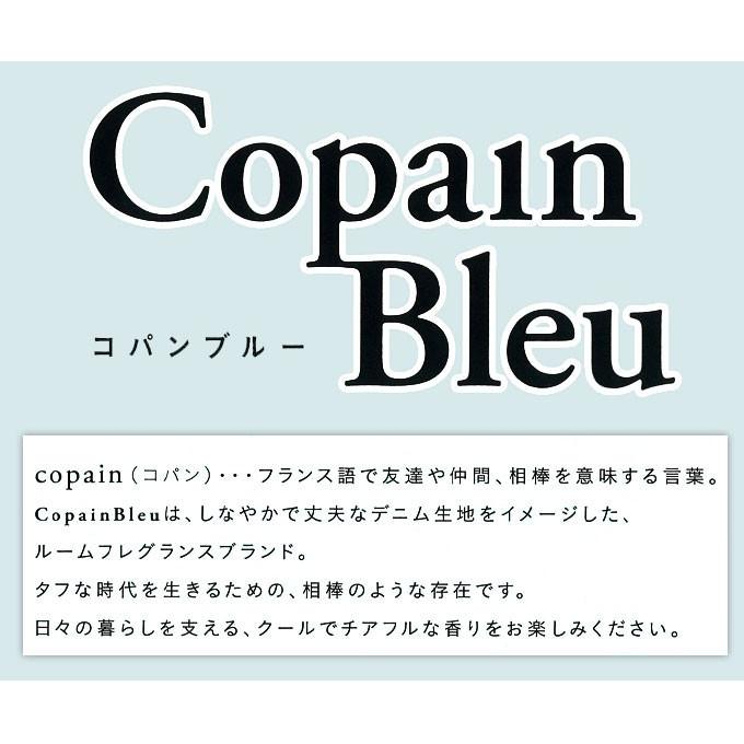 ファブリックミスト CopainBleu クレール 5本組 衣類用 芳香剤 消臭剤