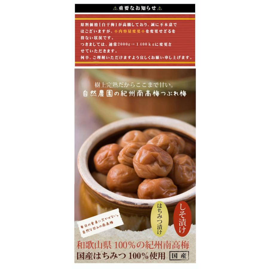 紀州南高梅 自然農園の訳ありつぶれ梅 梅干し しそ味 700g×2個 1400g はねだし 訳アリ梅 |  | 01