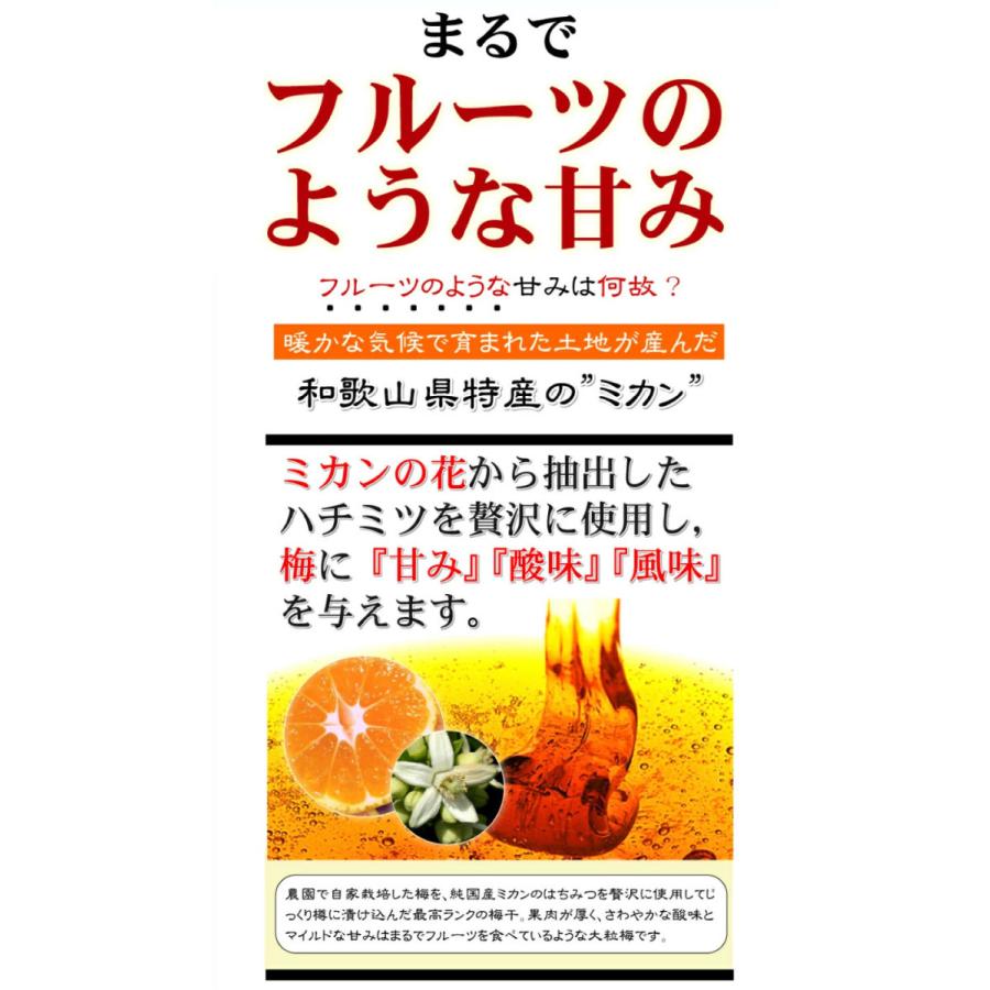 紀州南高梅 自然農園の訳ありつぶれ梅 梅干し はちみつ味 700g×2個 1400g はねだし 訳アリ梅 |  | 03