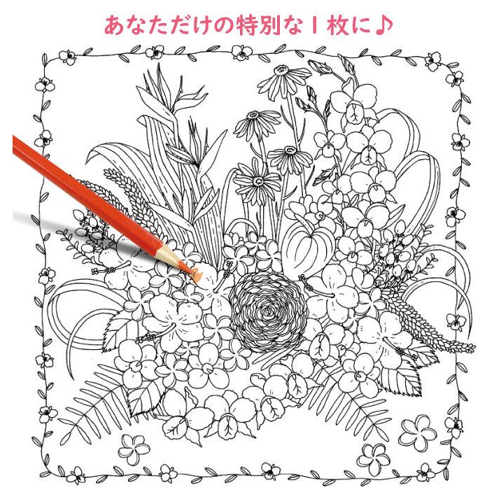 大人の塗り絵セット 色鉛筆24色付き 新装版 幸せをよぶ花とねこのぬりえセット 塗り絵本 ねこ 風景 塗絵ブック高齢者 生活通販お助け隊 通販 Yahoo ショッピング