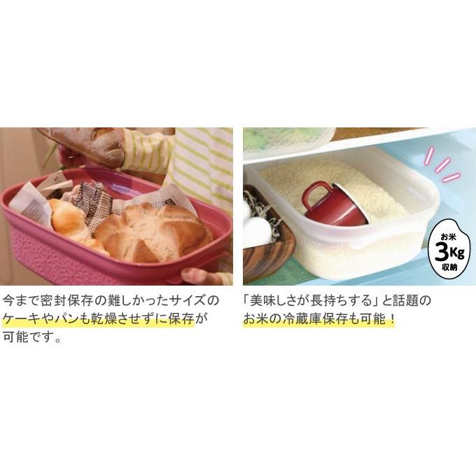 密閉保存容器 すのこ付き 冷凍可能 レンジ ワンプッシュ マハロ