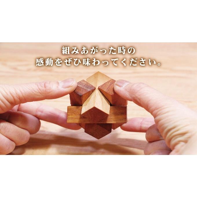 東京公式通販サイト 木製立体パズル12個セット 木箱入りウッドパズルセット 脳トレ ウッドパズル 木のパズル 立体パズル 脳トレパズル 組木 10歳からの知育玩具