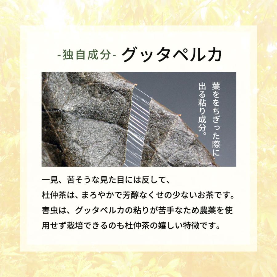 セール 杜仲茶 国産 無農薬 国産まごころ杜仲茶 ２g×20包 ノンカフェイン ダイエット お茶 健康茶 とちゅう茶 ティーバック グッタペルカ 焙煎加工 食品｜otbj｜07