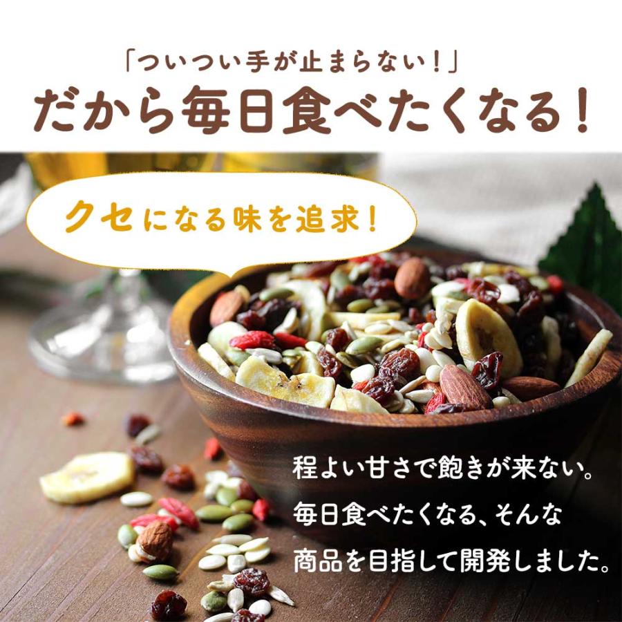ナッツ ドライフルーツ 8種ミックス 340g シードミックス